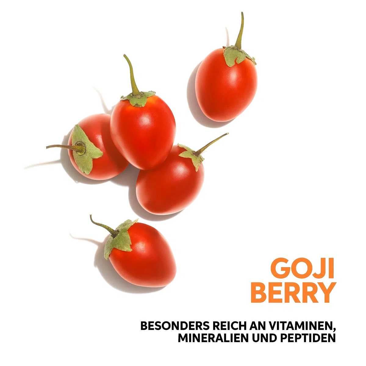 Wella Invigo Nutri Enrich Shampoo – nährendes Feuchtigkeitsshampoo für trockene & strapazierte Haare – mit Goji-Beeren & Vitaminen – glättend & intensiv pflegend